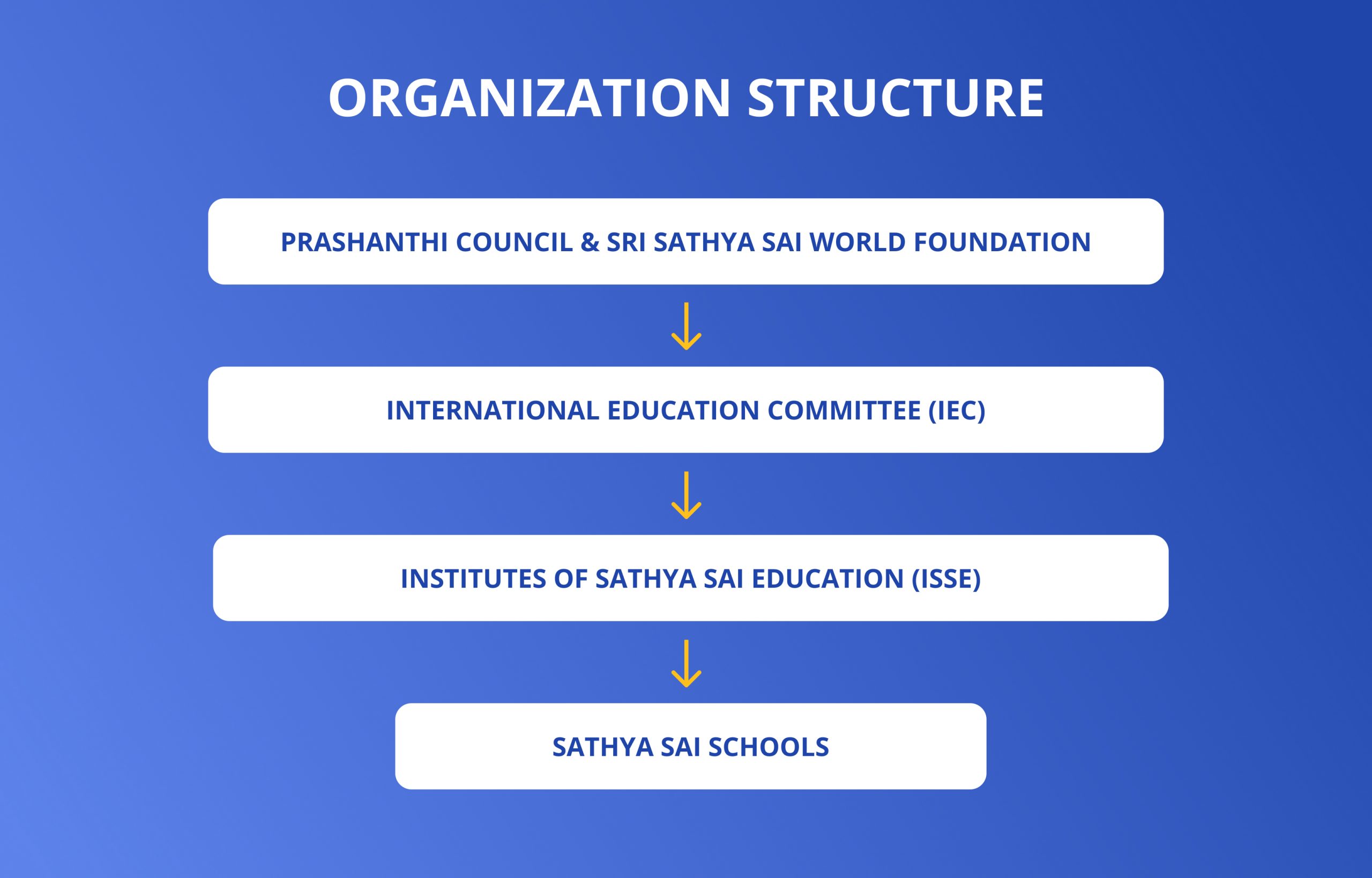 Organization Structure